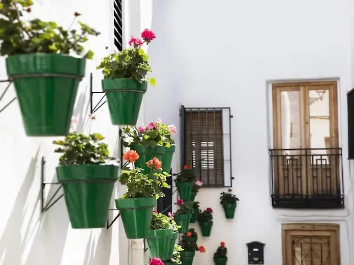 Apartamento En El Corazon De Las Alpujarras Carataunas